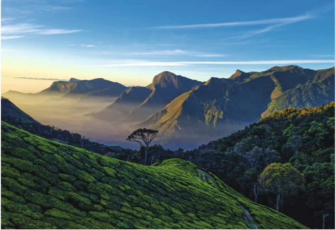 The Western Ghats
