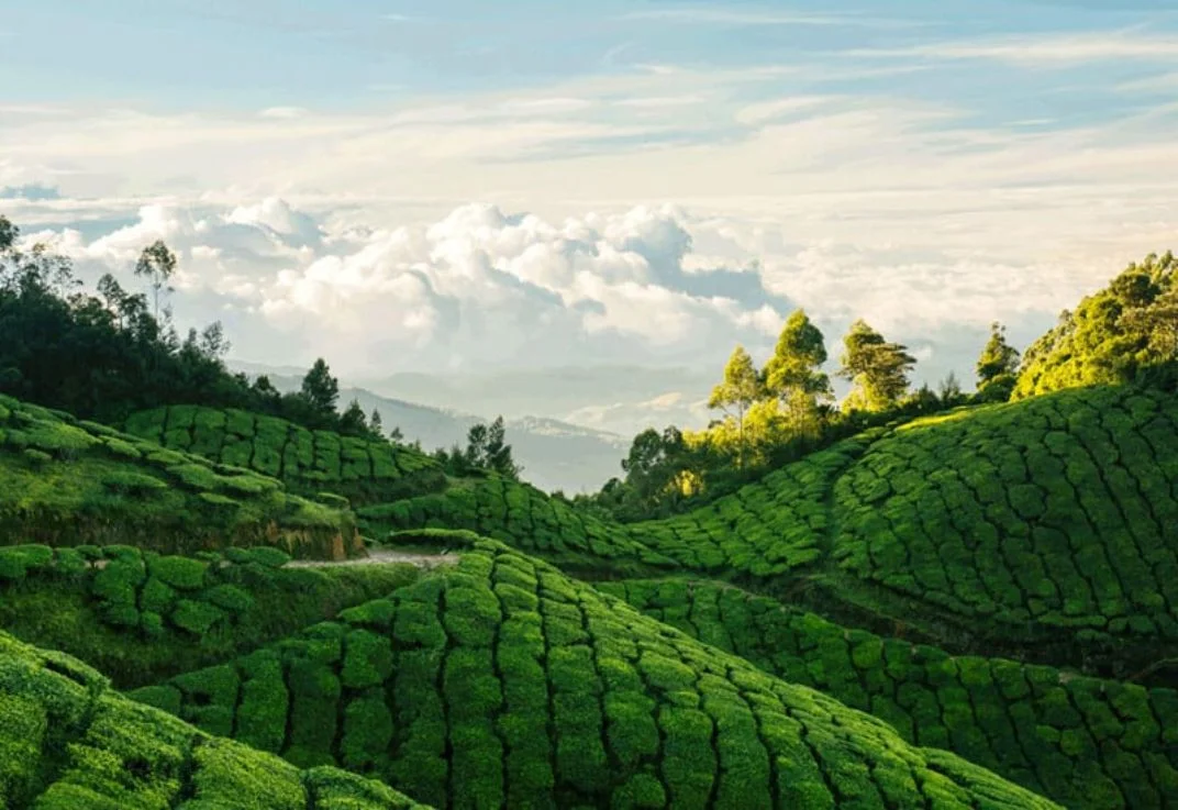 Nilgiri Mountains