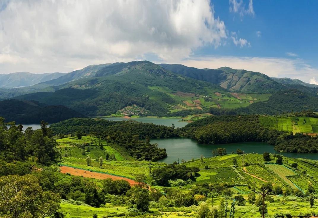 Evergreen rainforest in the Nilgiris near Ooty, Bandipur and Mudumalai