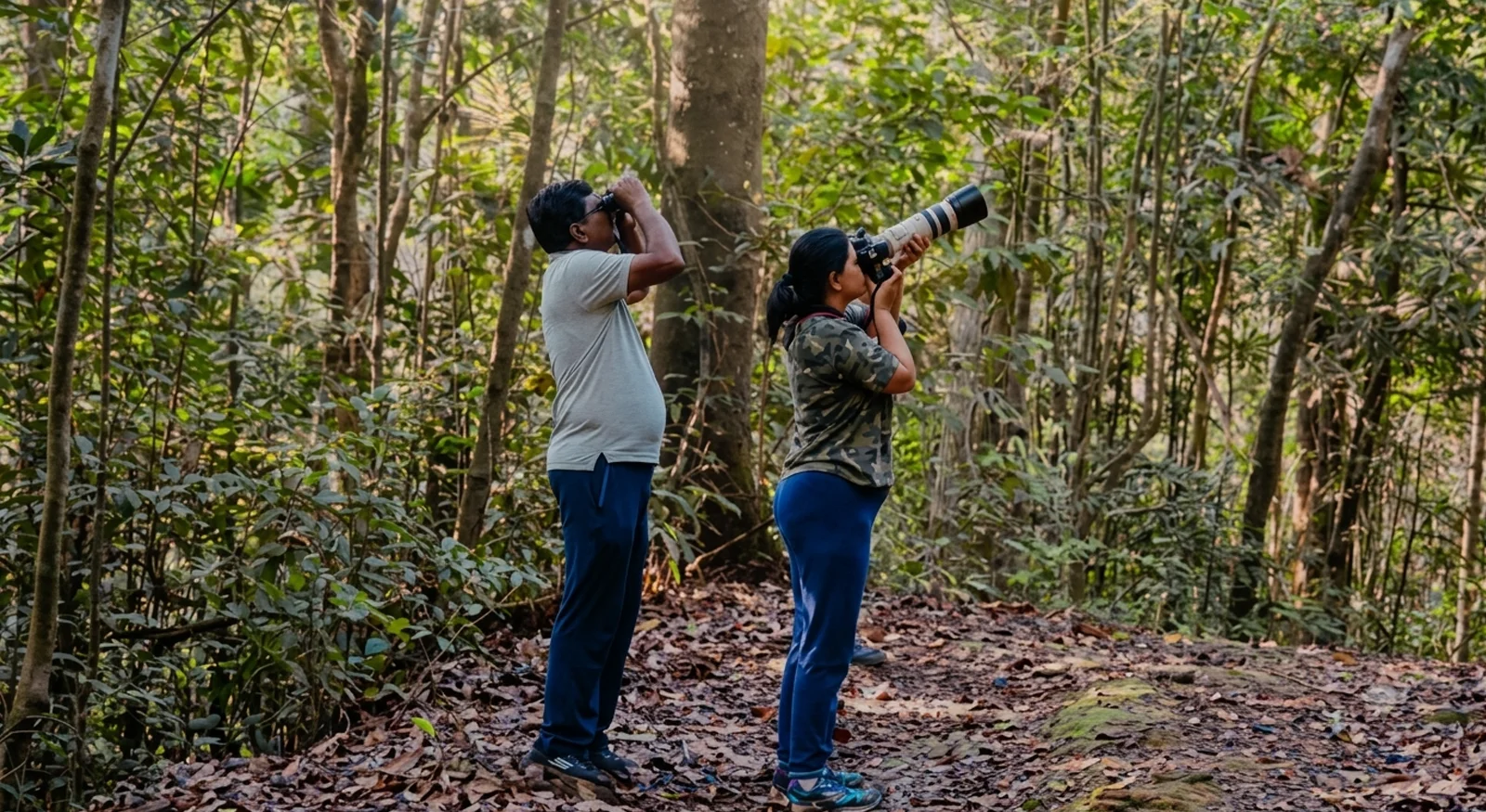 Rainforest nature walk at Wild Planet Resort, Nilgiris near Ooty