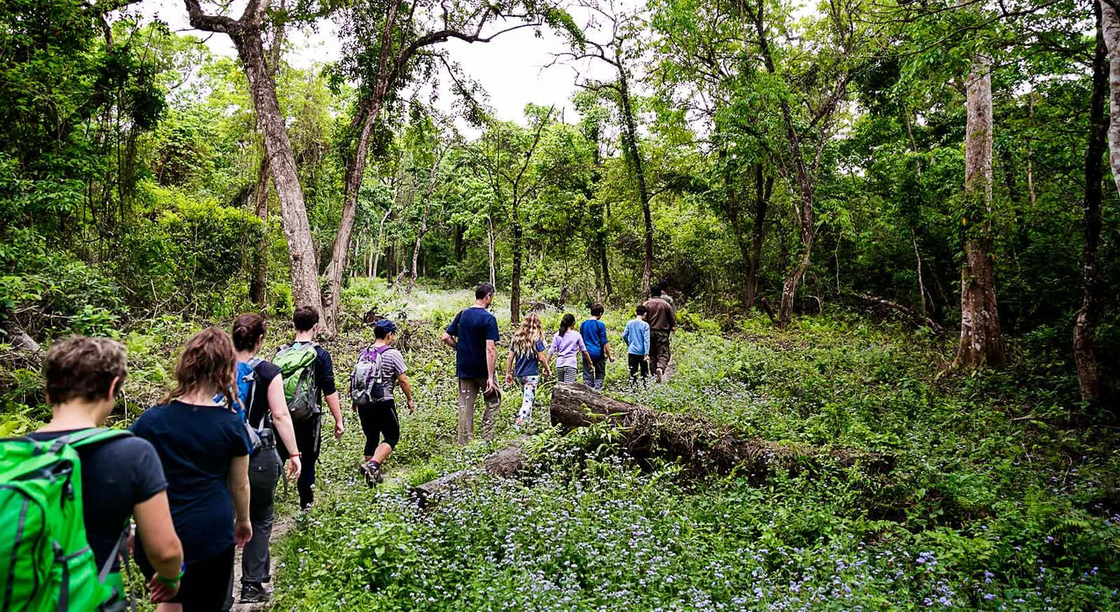 Rainforest Walk – Into Nature’s Living Classroom