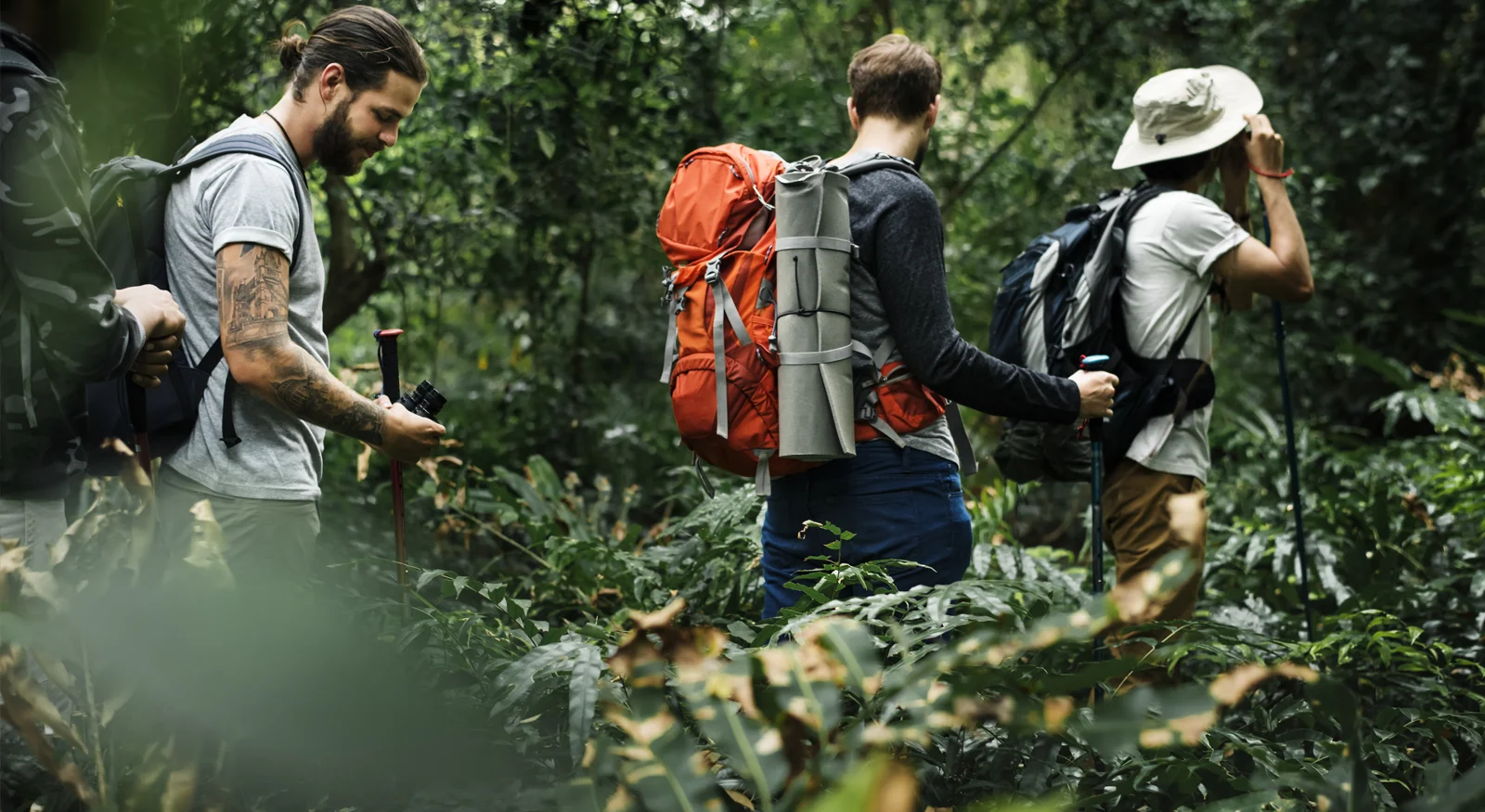 Nature walk at Wild Planet Resort, Nilgiris near Ooty, Bandipur and Mudumalai