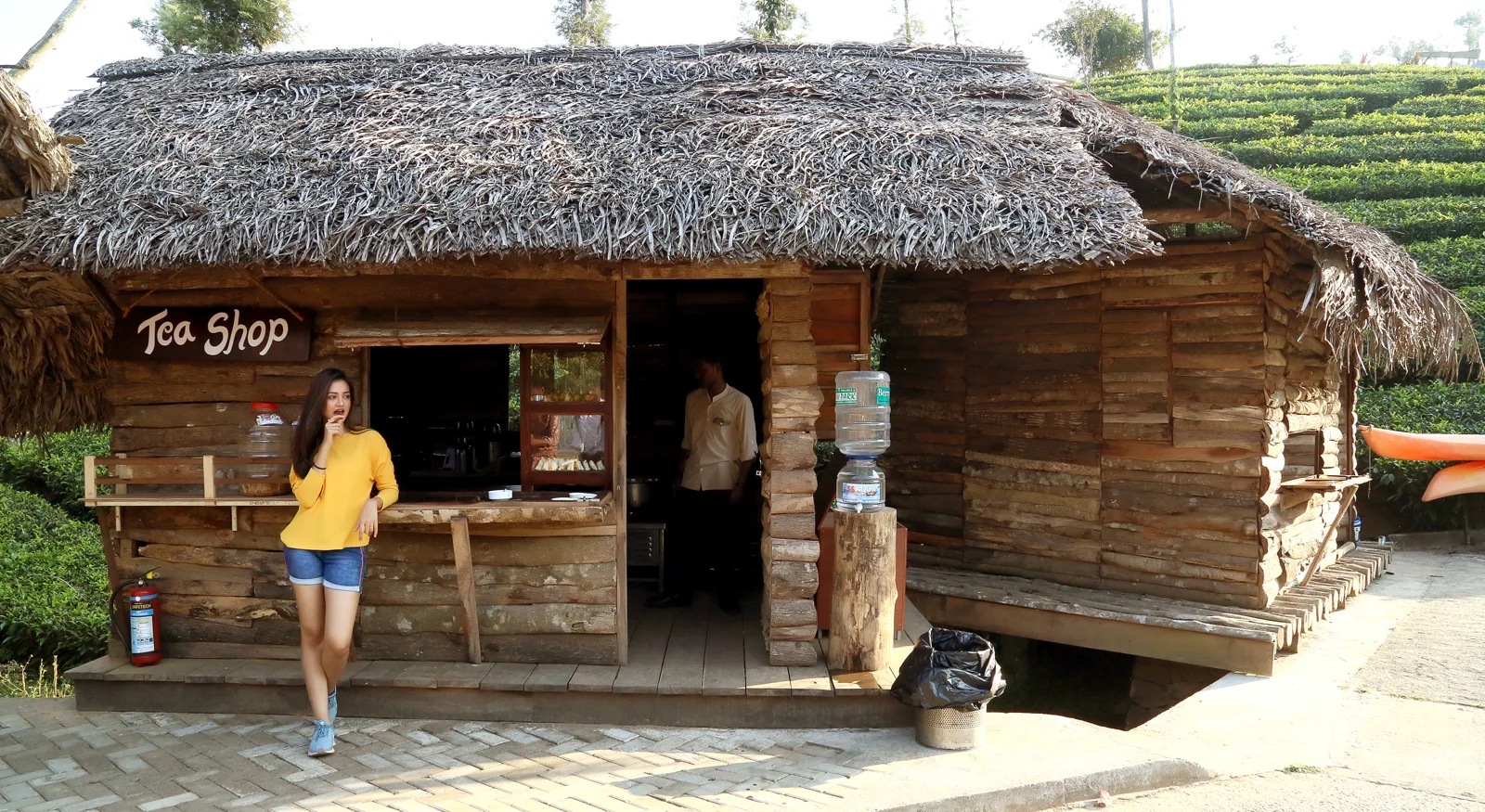Traditional wooden tea shop surrounded by lush green tea plantations in the Nilgiri Hills