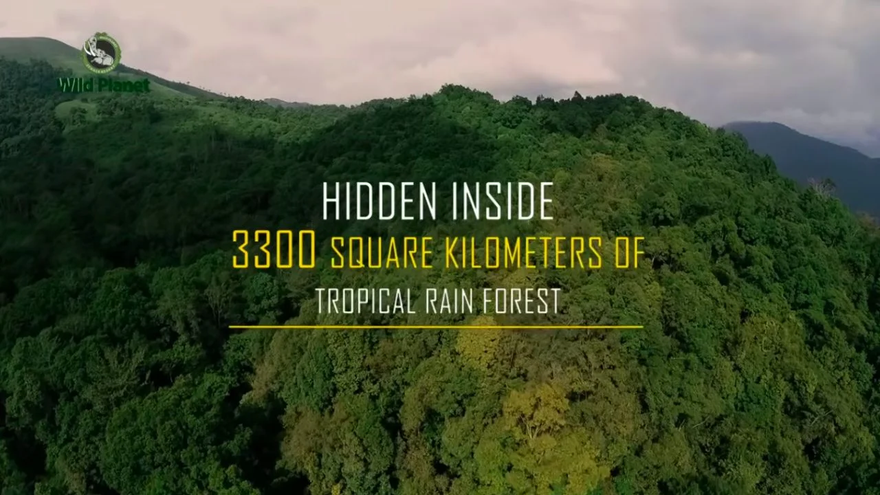 WildPlanet - WILD PLANET-Created by nature,we dicovered it for