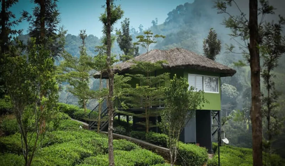 Luxury Jungle Stay in Nilgiris